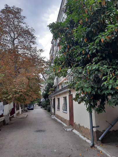 Здание, 229.8 м²