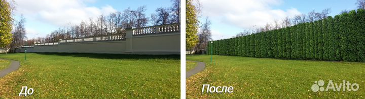 Услуги Photoshop, Фотошоп, ретушь. Дорисовка