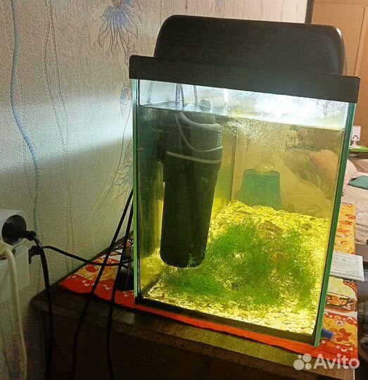 Аквариум со всем содержимым