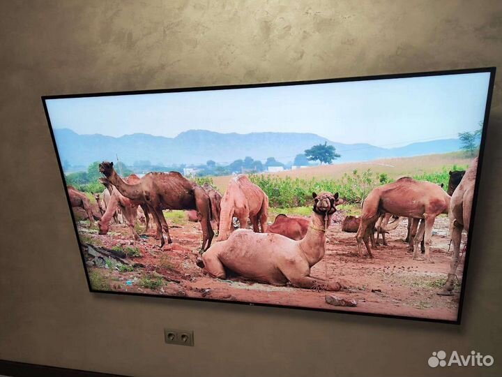 Lg 75 uh855