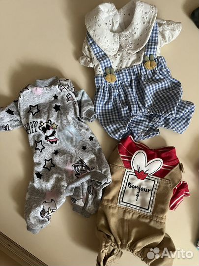 Одежда для маленьких собак м