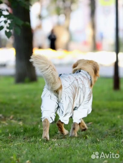 Комбинезон для собак крупных пород