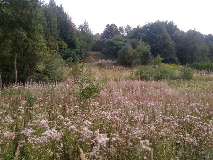 Участок 13,6 сот. (ИЖС)