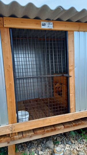 Хозяин, ваша собака попала в отлов