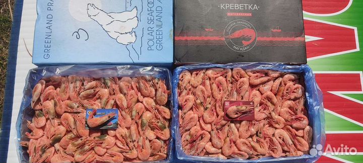 Креветки