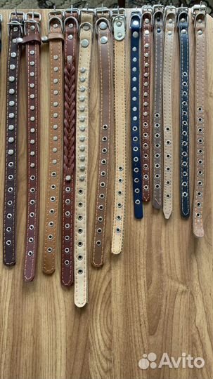 Амуниция для собак