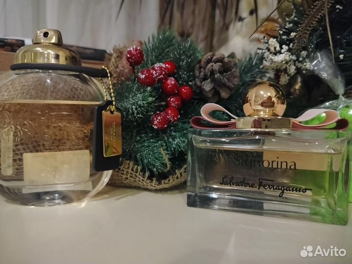 Signorina и Coach. Оригиналы