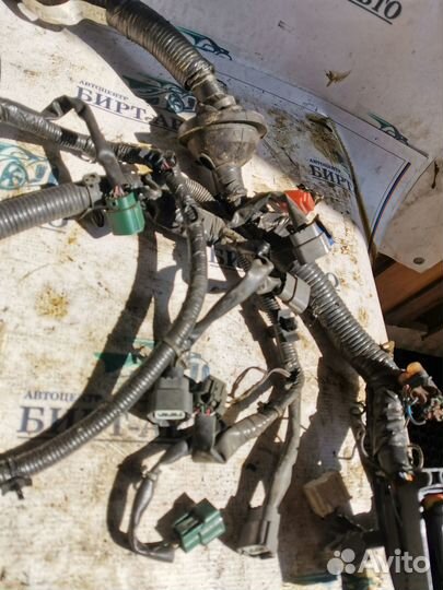 Коса моторная(проводка) Nissan X-Trail I (2000—200