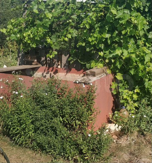 Дача 10 м² на участке 5 сот.