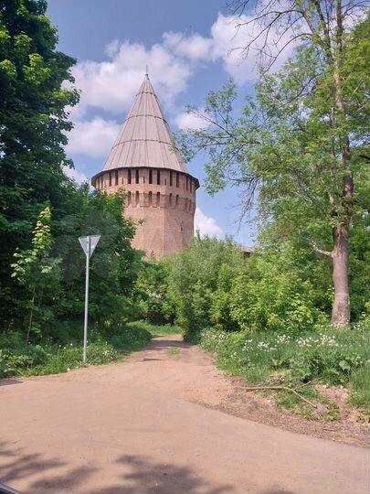 Участок 6,1 сот. (ИЖС)