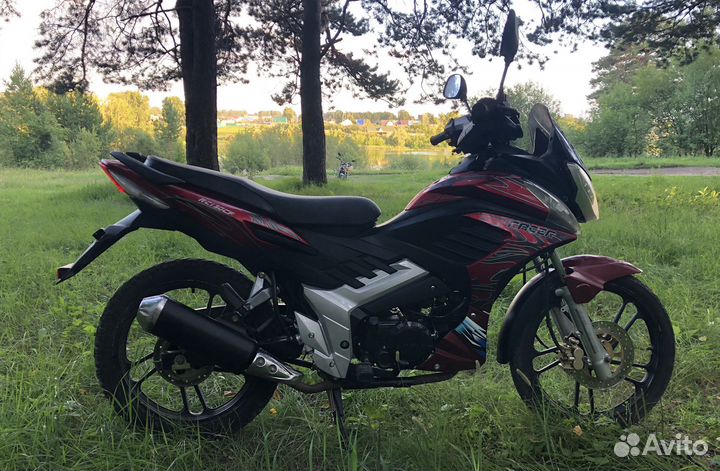 Racer viper RC130CF
