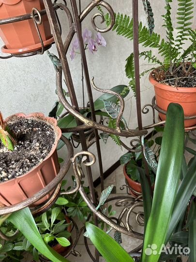 Подставка для цветов,кованная
