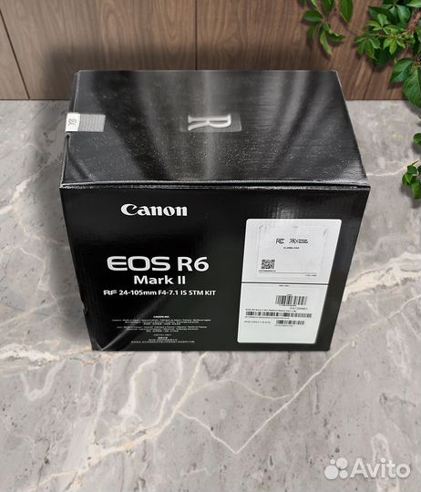 Canon EOS R6 Mark ii kit RF 24-105mm