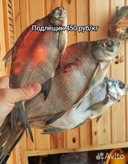 Рыба вяленая с Суры сухой посол