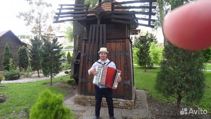 Аккордеонист Баянист Гармонист на праздники