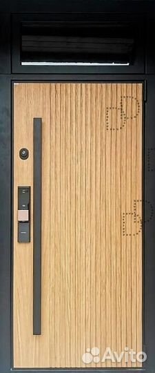 Уличная металлическая дверь с фрамугой DD-271