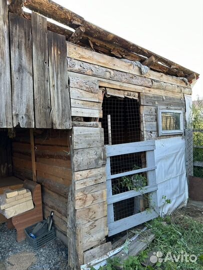 Дрова доски бесплатно