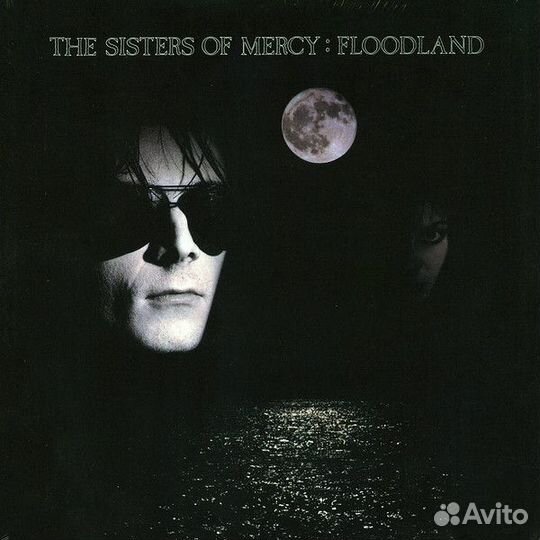 Виниловая пластинка WM The Sisters Of Mercy Floodl