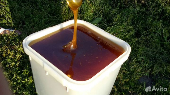 Мед Алтайский Таежный с Живицей