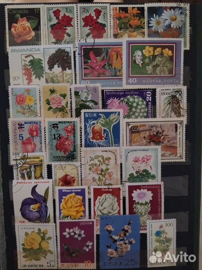 Коллекция почтовых марок цветы 1960-80гг