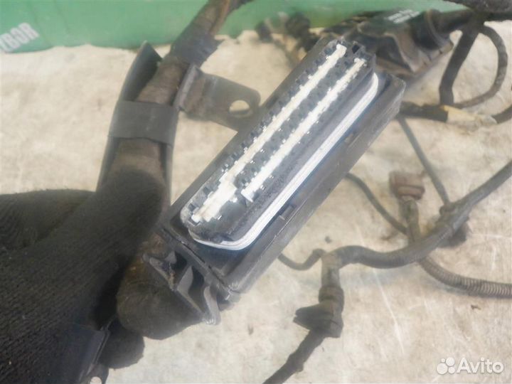 Проводка (коса) Фольксваген Гольф 4 Бора