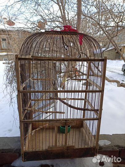 Клетка для птиц б/у 35*25*60 см