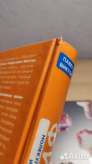 Физика в 3-х томах Павел Виктор том 2