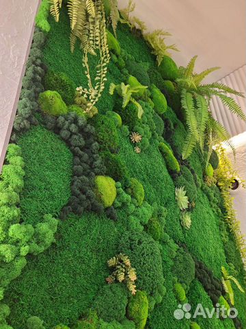 Вертикальное озеленение