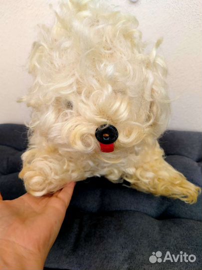 Игрушка советская, СССР, болонка