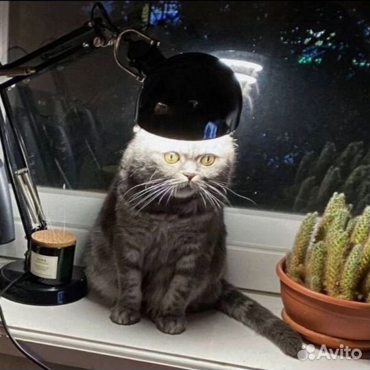 Работа промоутер