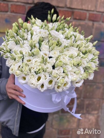 Эустома букет