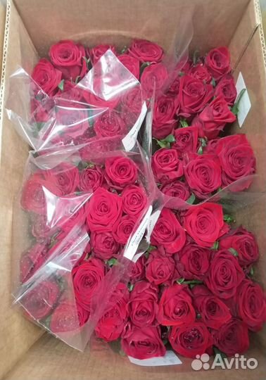 Букет невесты