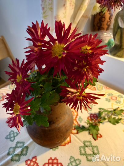 Цветы на срез