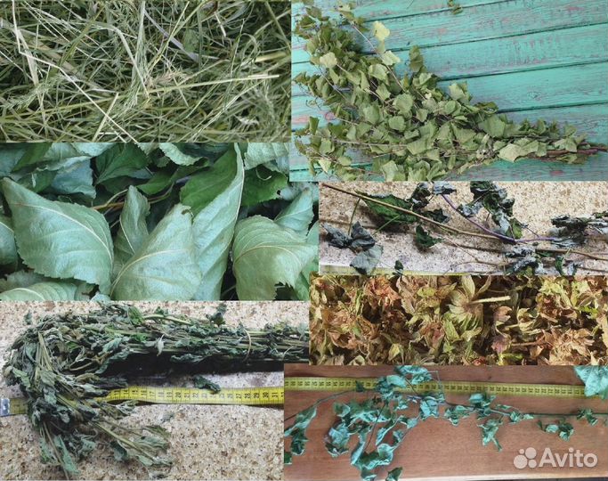 Сено, листья, ветки смородины, яблони, малины