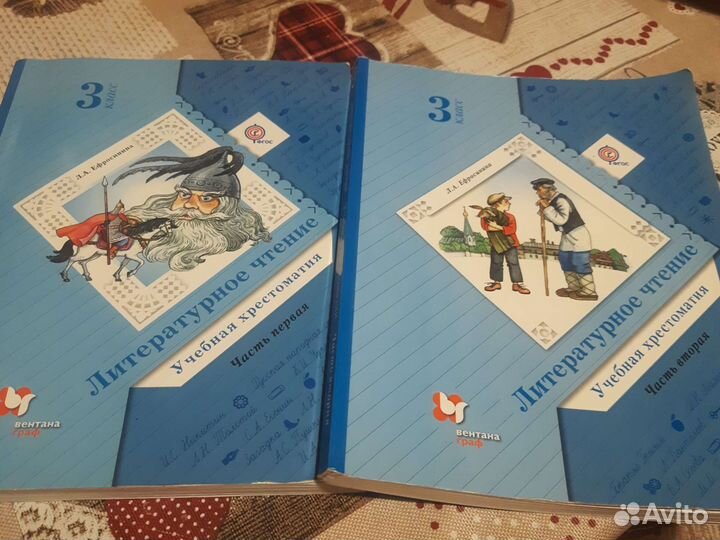 Литературное чтение 2 и 3 класс ефросинина