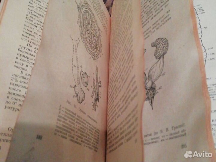 Антикварные книги