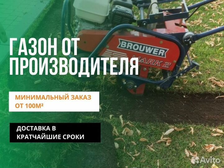 Рулонные газоны