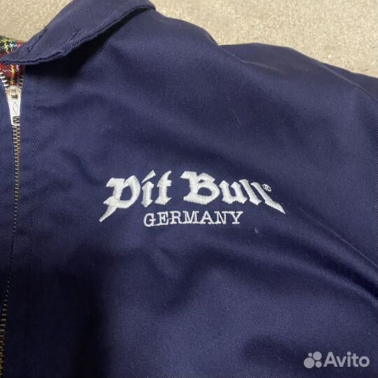 Харингтон pit bull