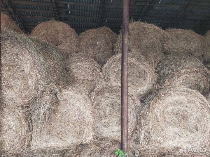Продам сено в рулонах и салому