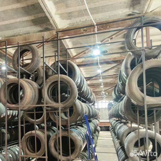 Zeta Antarctica Ice 225/60 R16 102T