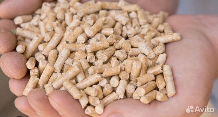 Наполнитель для кошачьего туалета древесный