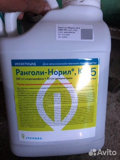 Ранголи-Норил К