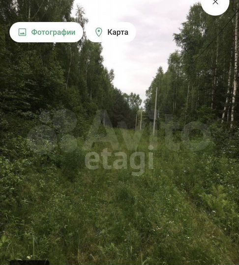 Участок 22,6 сот. (СНТ, ДНП)