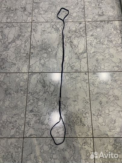 Ринговка для собак