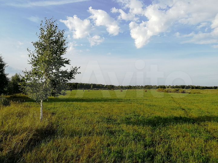 Участок 2 га (СНТ, ДНП)