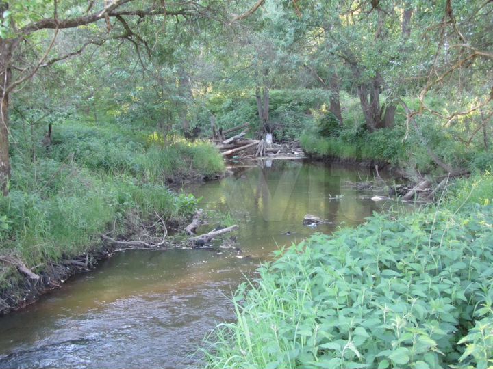 Участок 8,87 га (СНТ, ДНП)