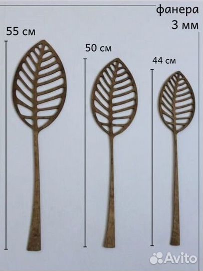 Интерьерные цветы, декоративные листья