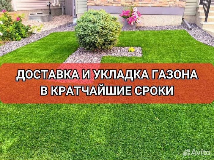 Укладка газона эконом