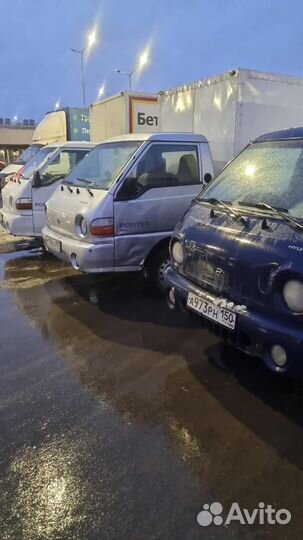 Водитель на Портер