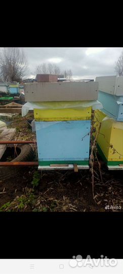 Продам ульи для пчел